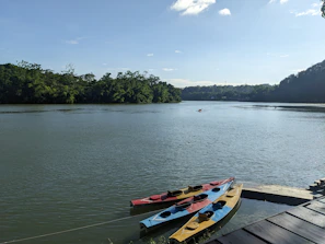 A serene morning view of the river with kayaks lined up, ready for adventure.