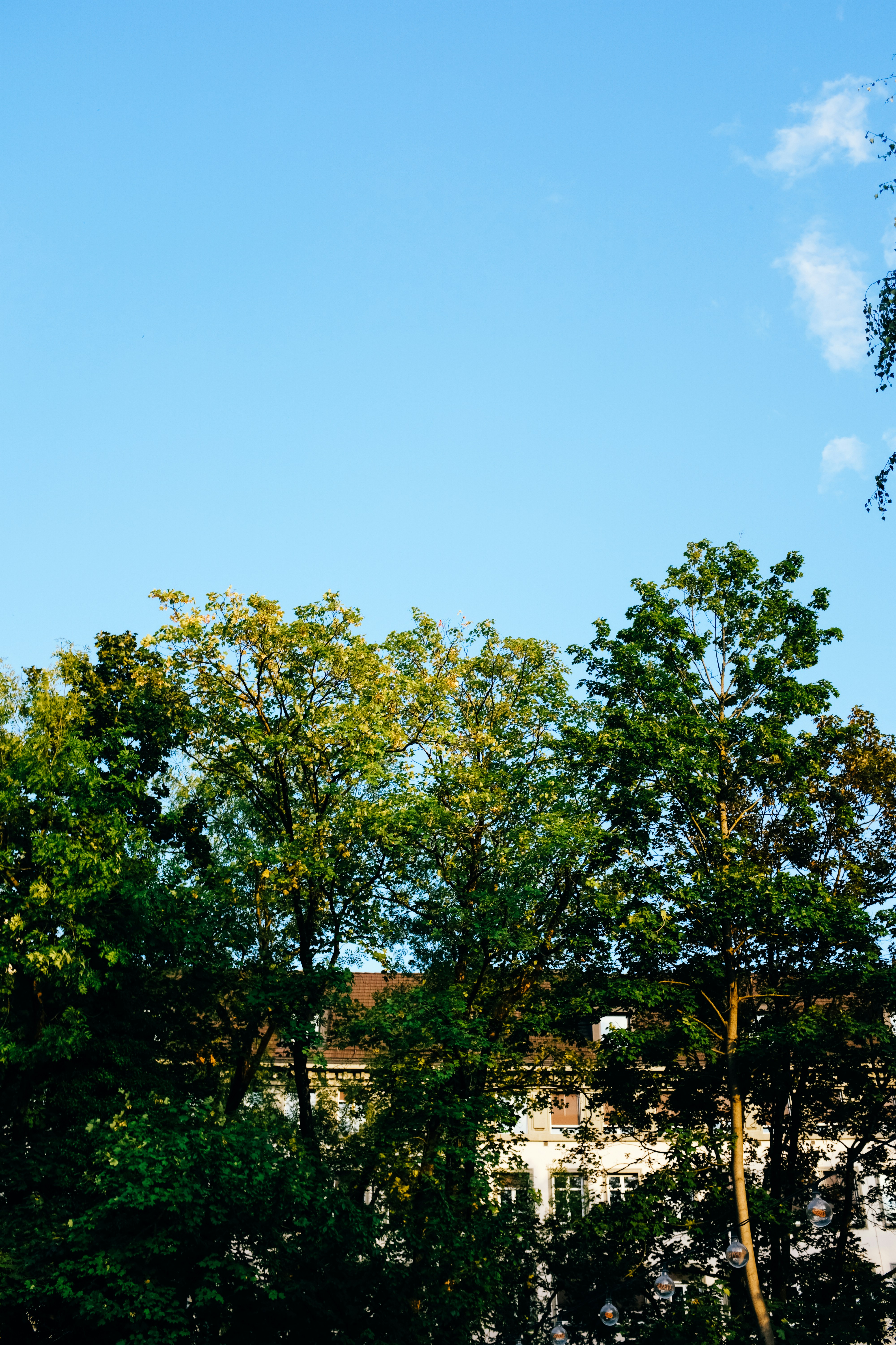 Photo by adrienolichon