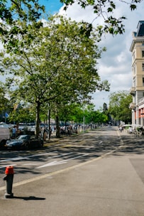 Friendly neighbors chatting on a tree-lined sidewalk near Lake Michigan with city views.