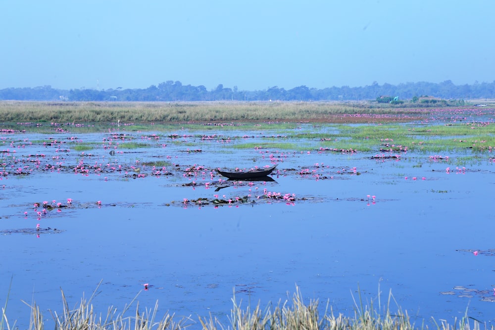 a boat floating on top of a body of water