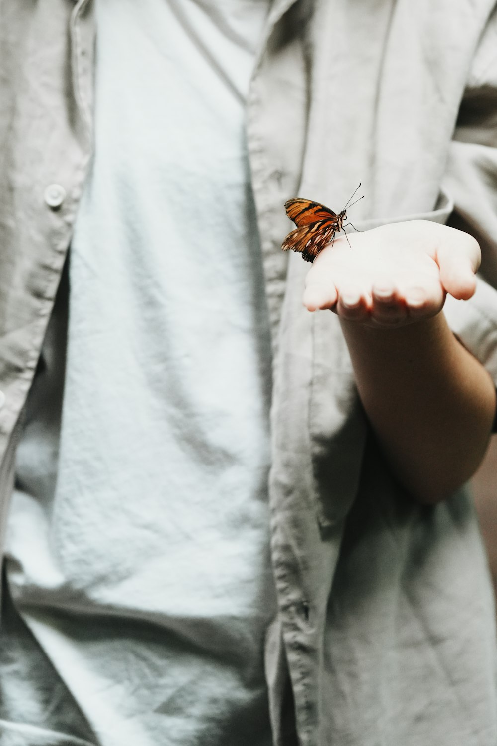 a person holding a butterfly in their hand