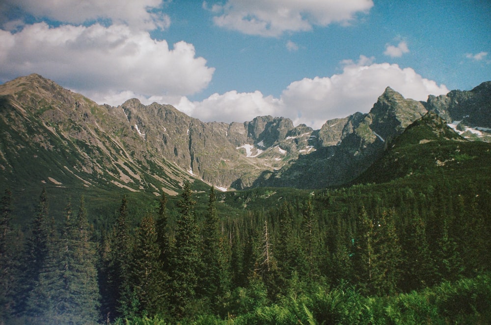 a view of a mountain range with trees in the foreground