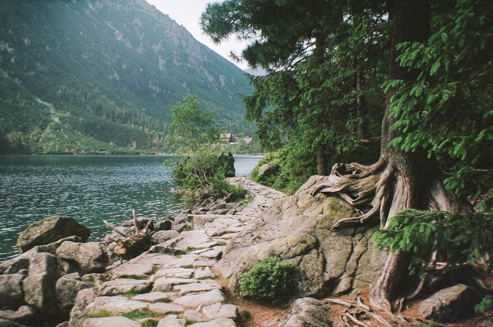 a stone path next to a body of water