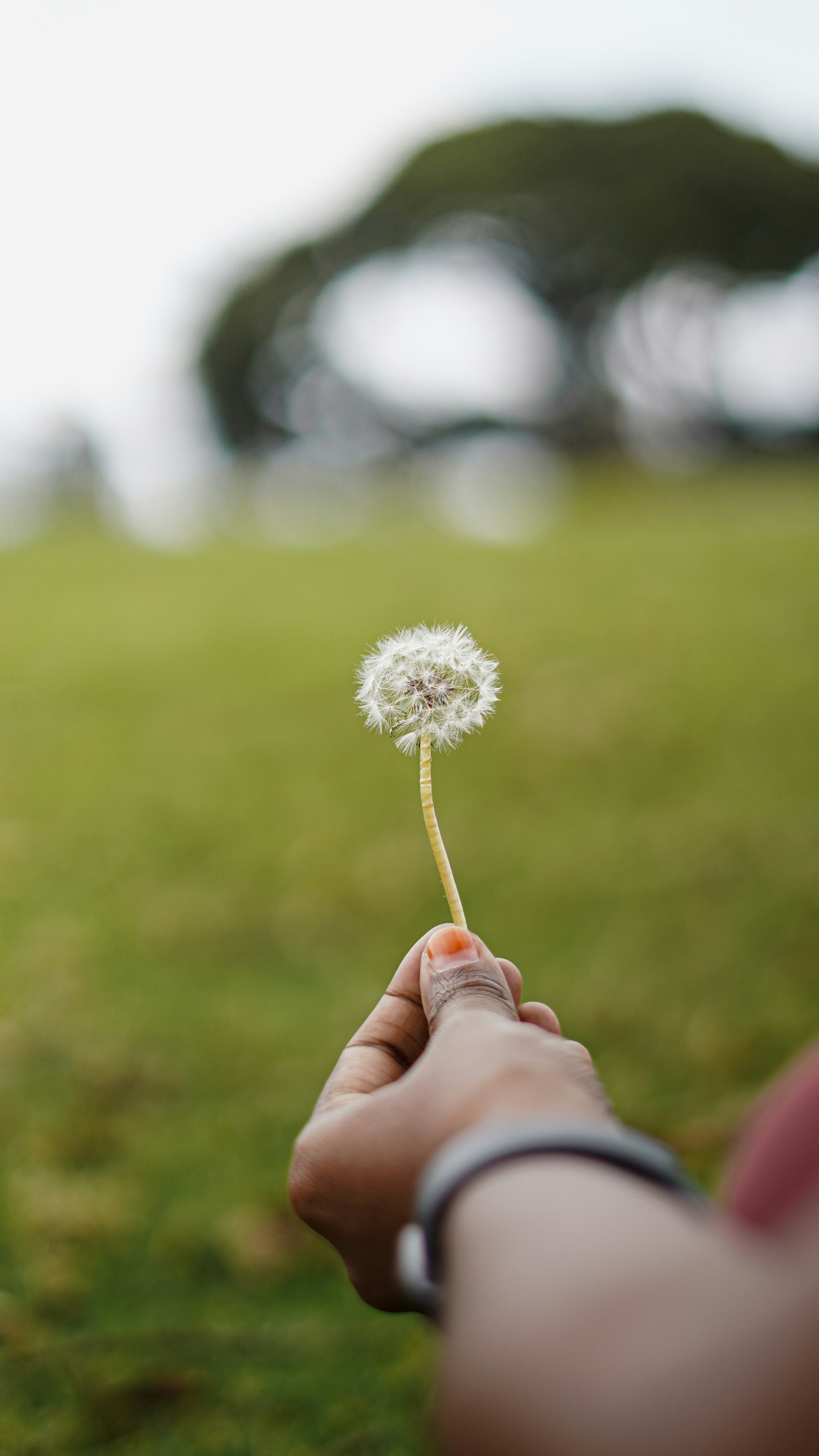 Photo by manasmanikoth