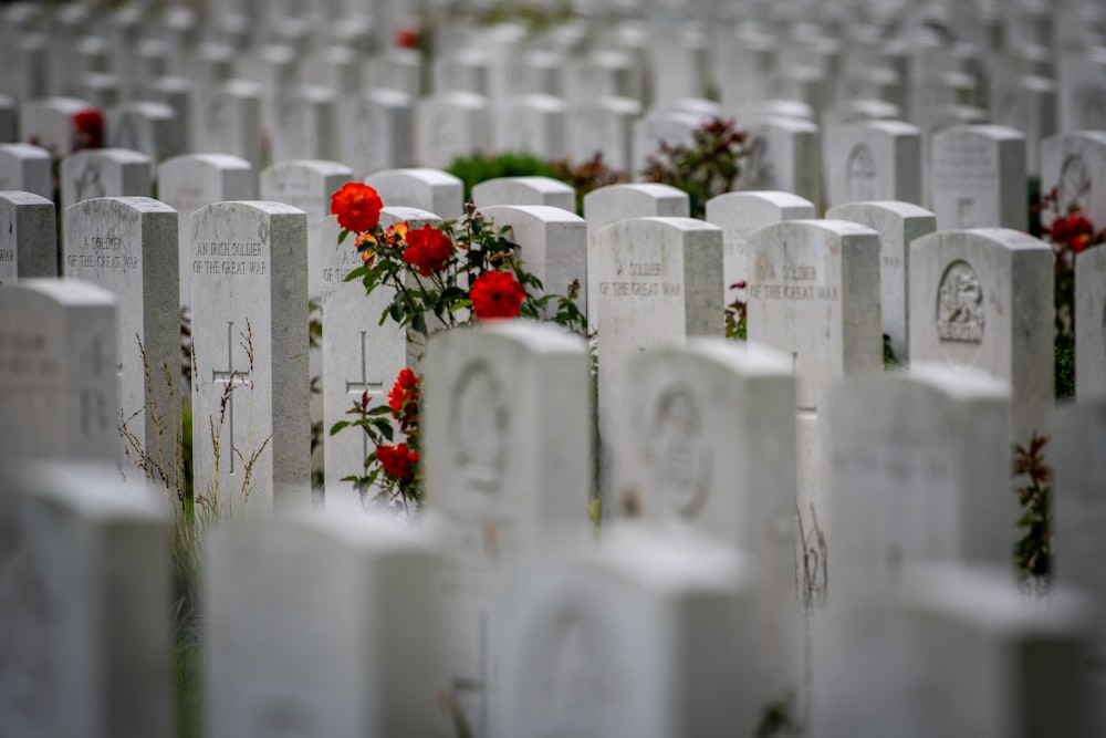 a bunch of headstones with flowers on them