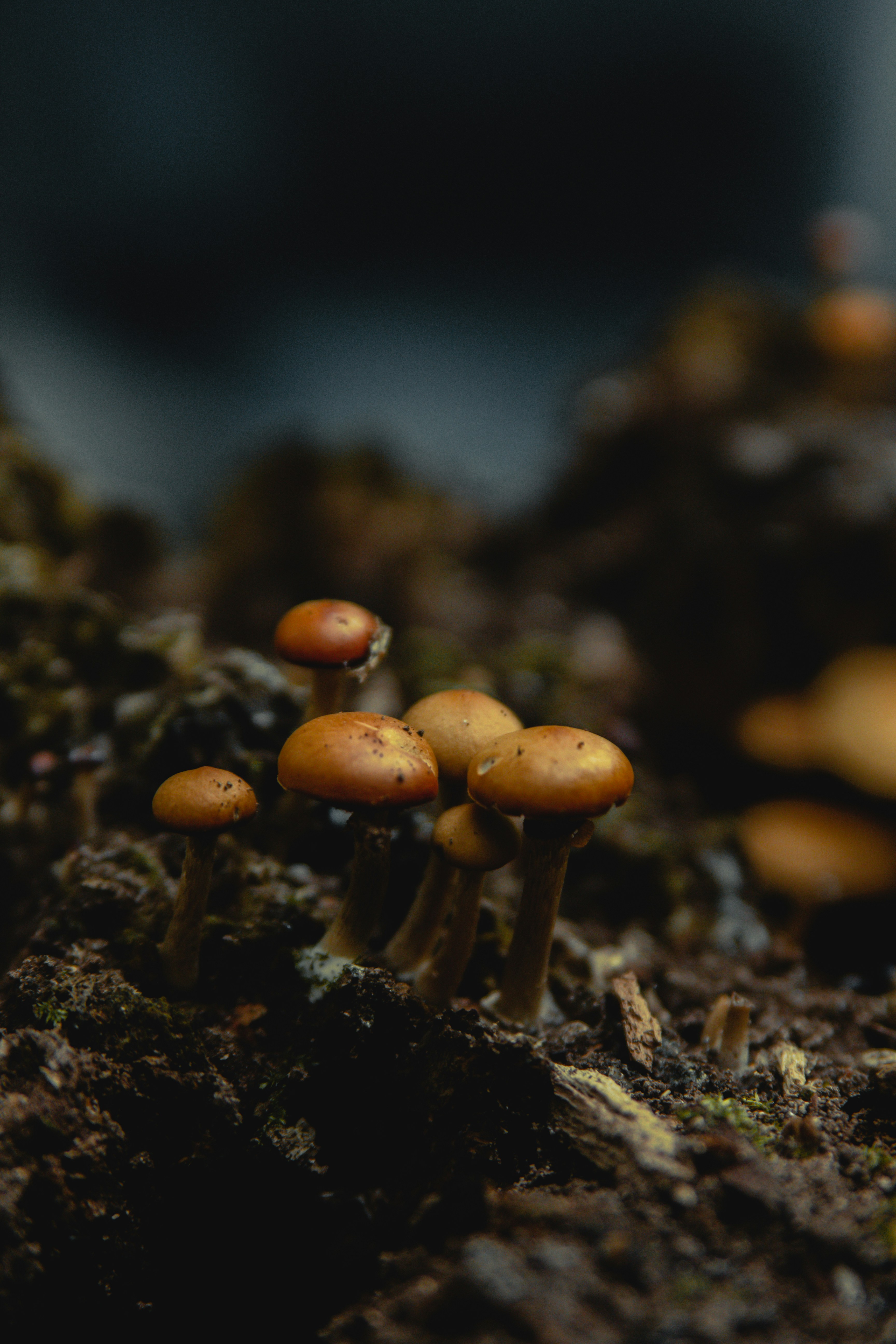 Photo by sam_badmaeva