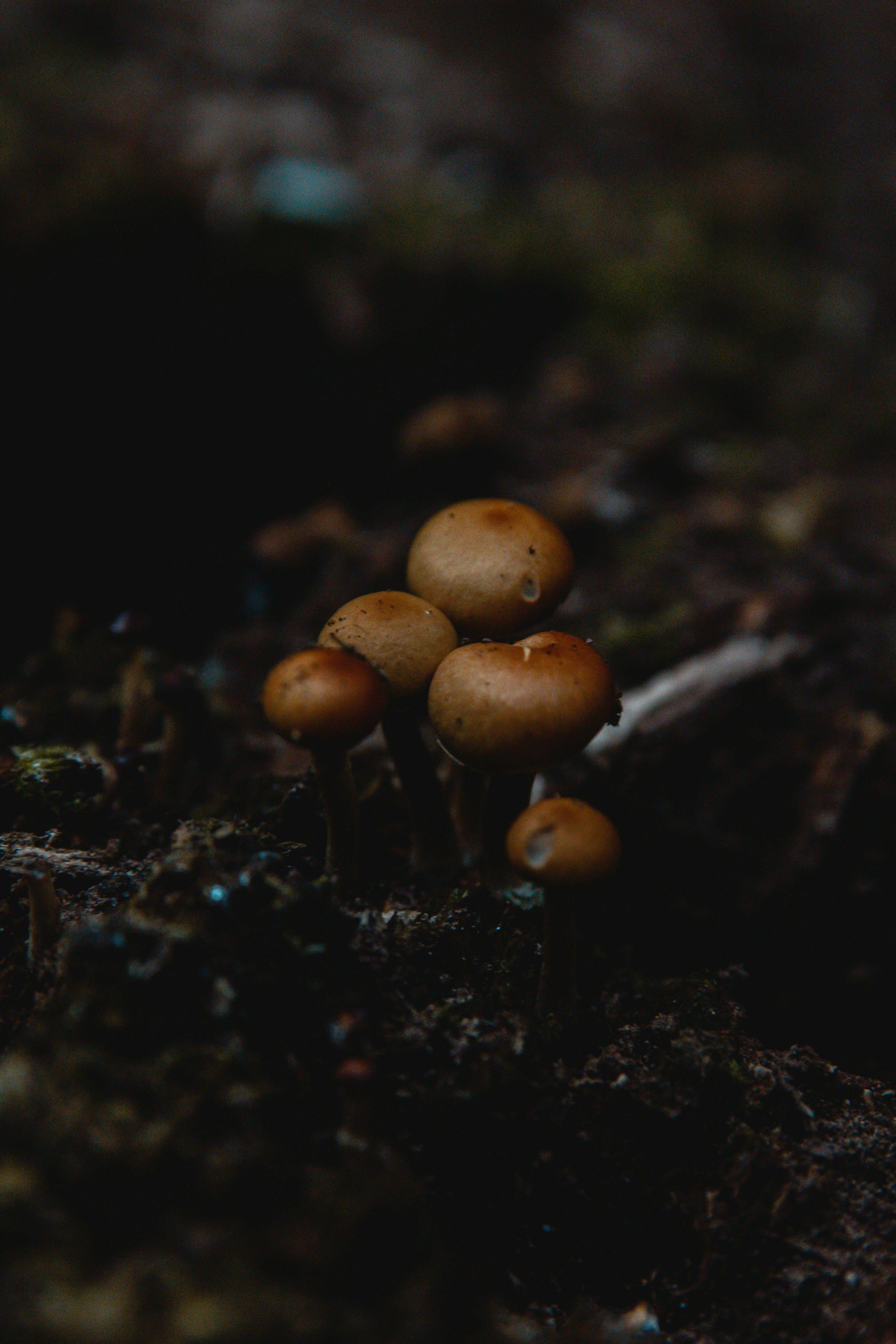 Photo by sam_badmaeva