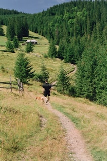 A person is hiking along a dirt path through a lush, green hillside with a dog walking beside them. There are dense forests surrounding the area, and a small wooden cabin is visible in the distance. The landscape is slightly mountainous, suggesting a rural, serene environment.