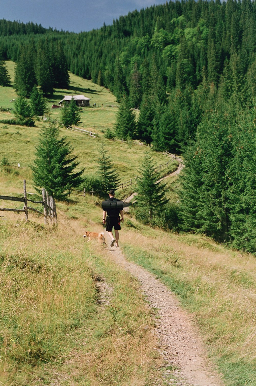 a man walking a dog down a dirt road