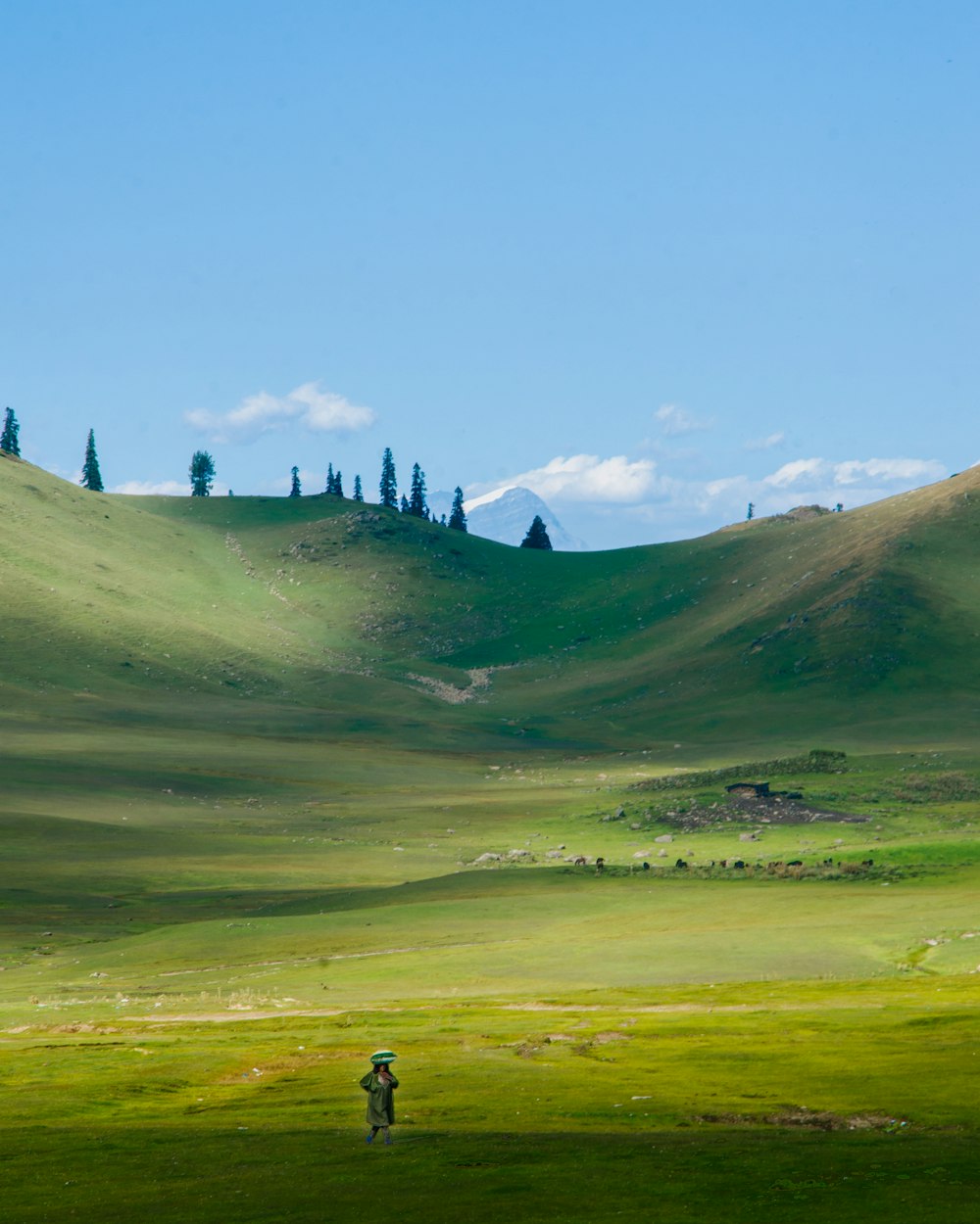 a person walking across a lush green field