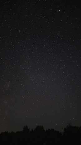 A night sky filled with numerous small, twinkling stars spread across a dark backdrop. Silhouettes of trees are visible at the bottom of the image, suggesting a forest setting beneath the celestial view.