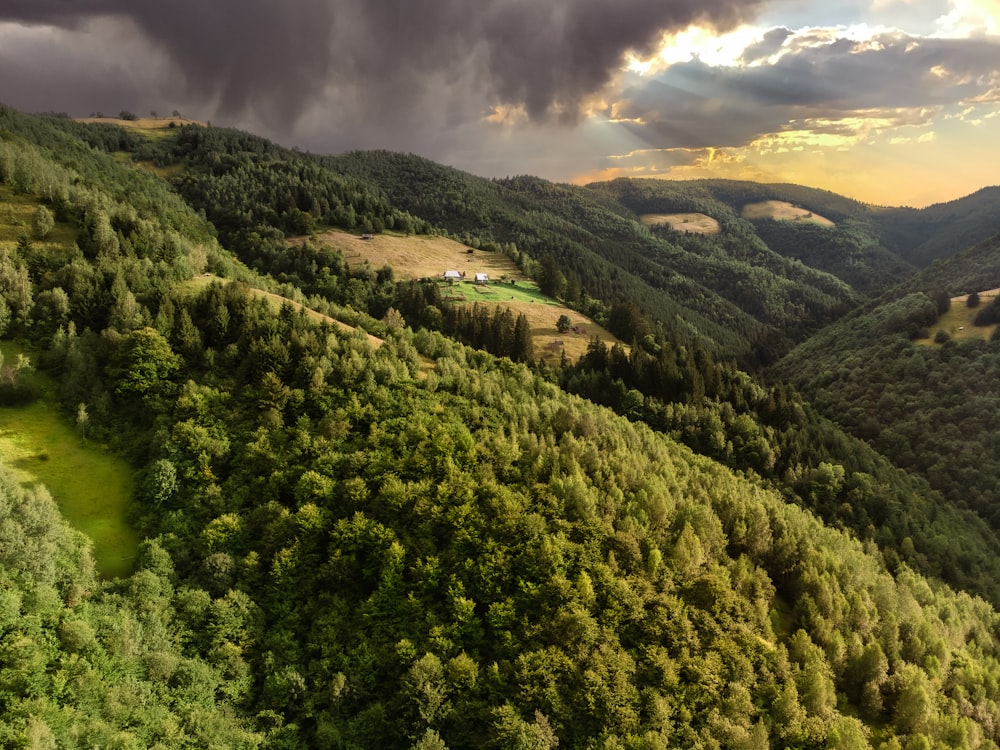 an aerial view of a forest with a cloudy sky