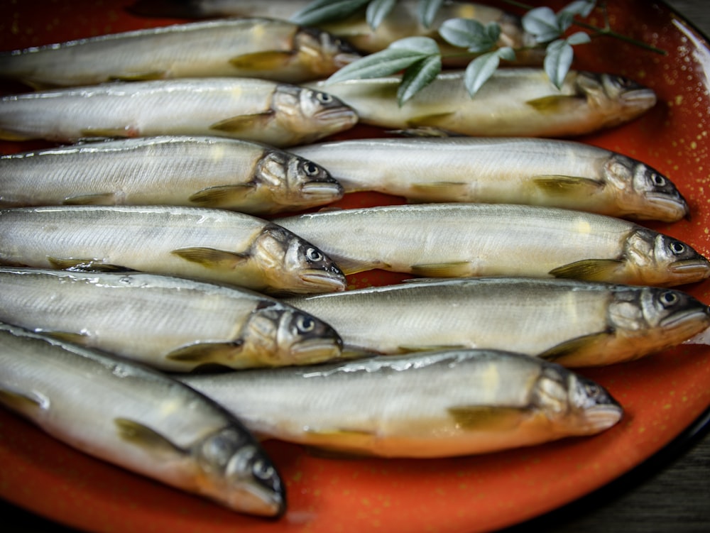 a bunch of fish that are on a plate