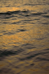 Close-up of slow-moving oil waves reflecting a warm sunset on the sea surface.
