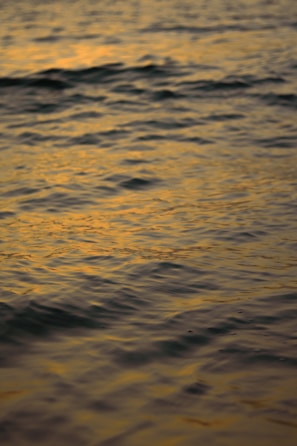 Close-up of gentle waves reflecting the warm colors of the setting sun.