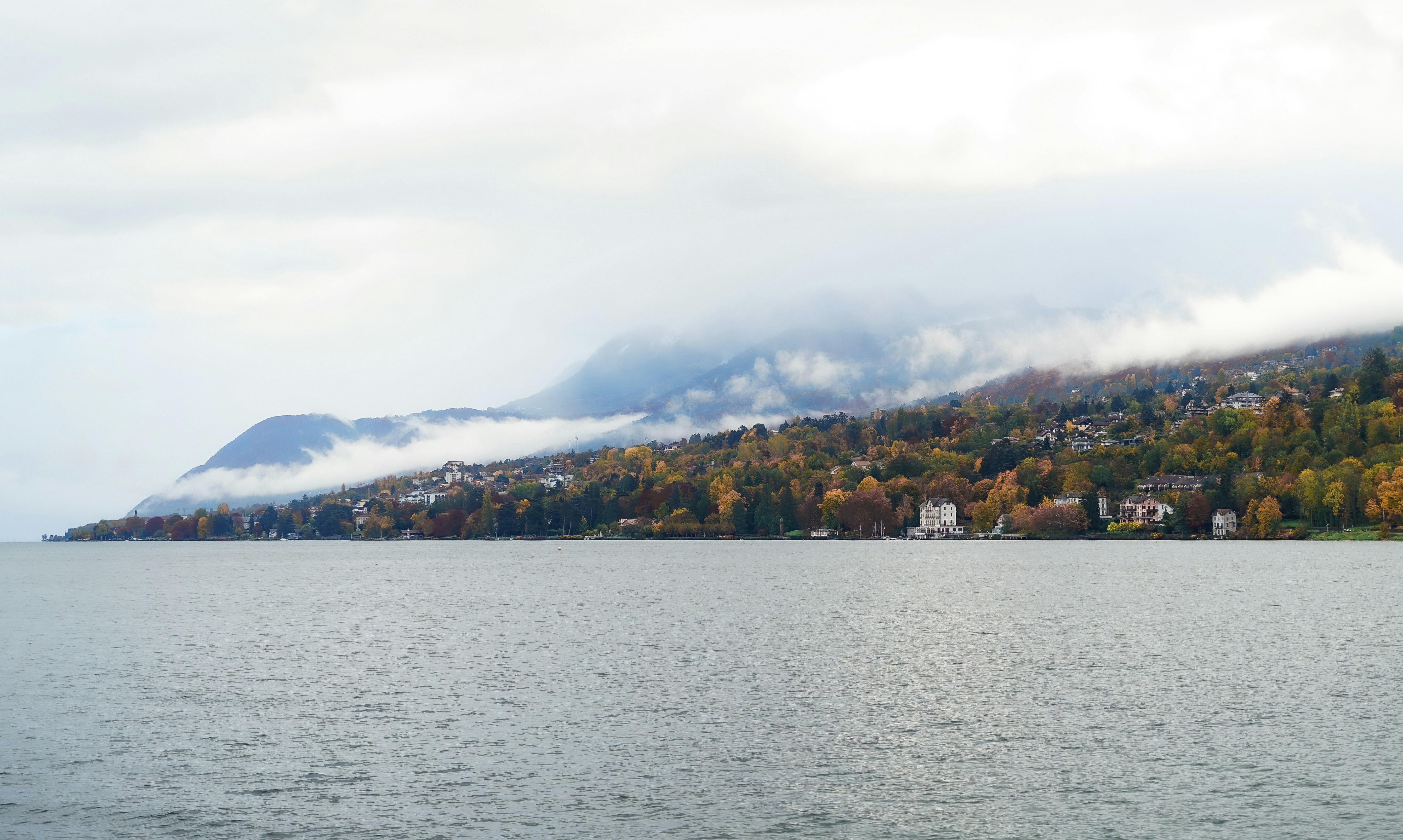 Photo by floriancordier