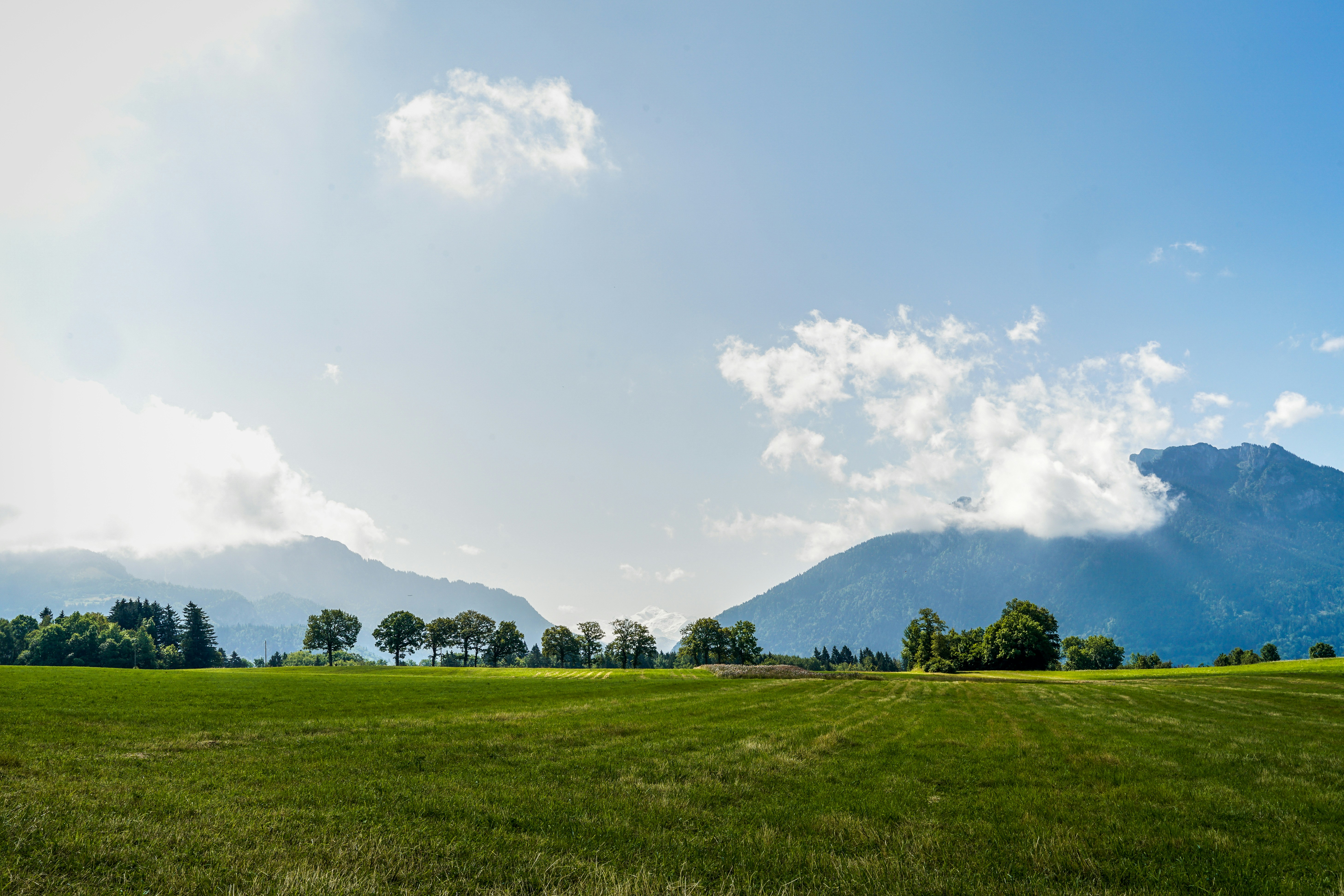 Photo by floriancordier