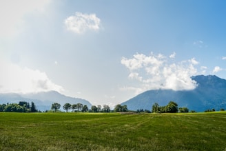 An open plot of land with green grass and distant mountains