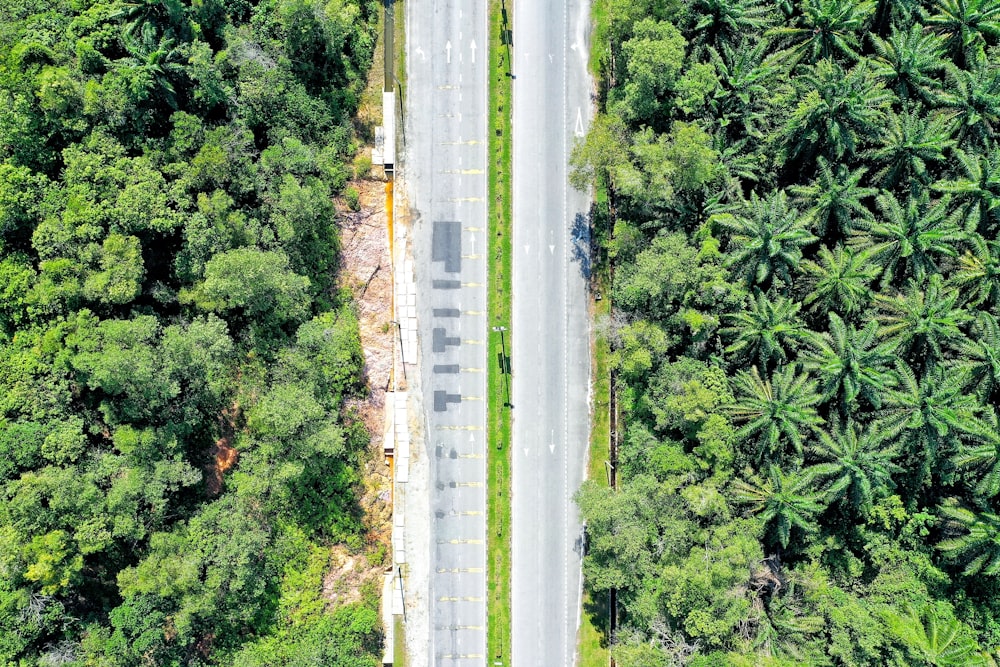 an aerial view of a road surrounded by trees