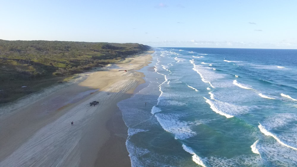 an aerial view of a beach and ocean