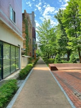 A wide shot of a clean sidewalk, emphasizing its neatness and surrounding greenery.