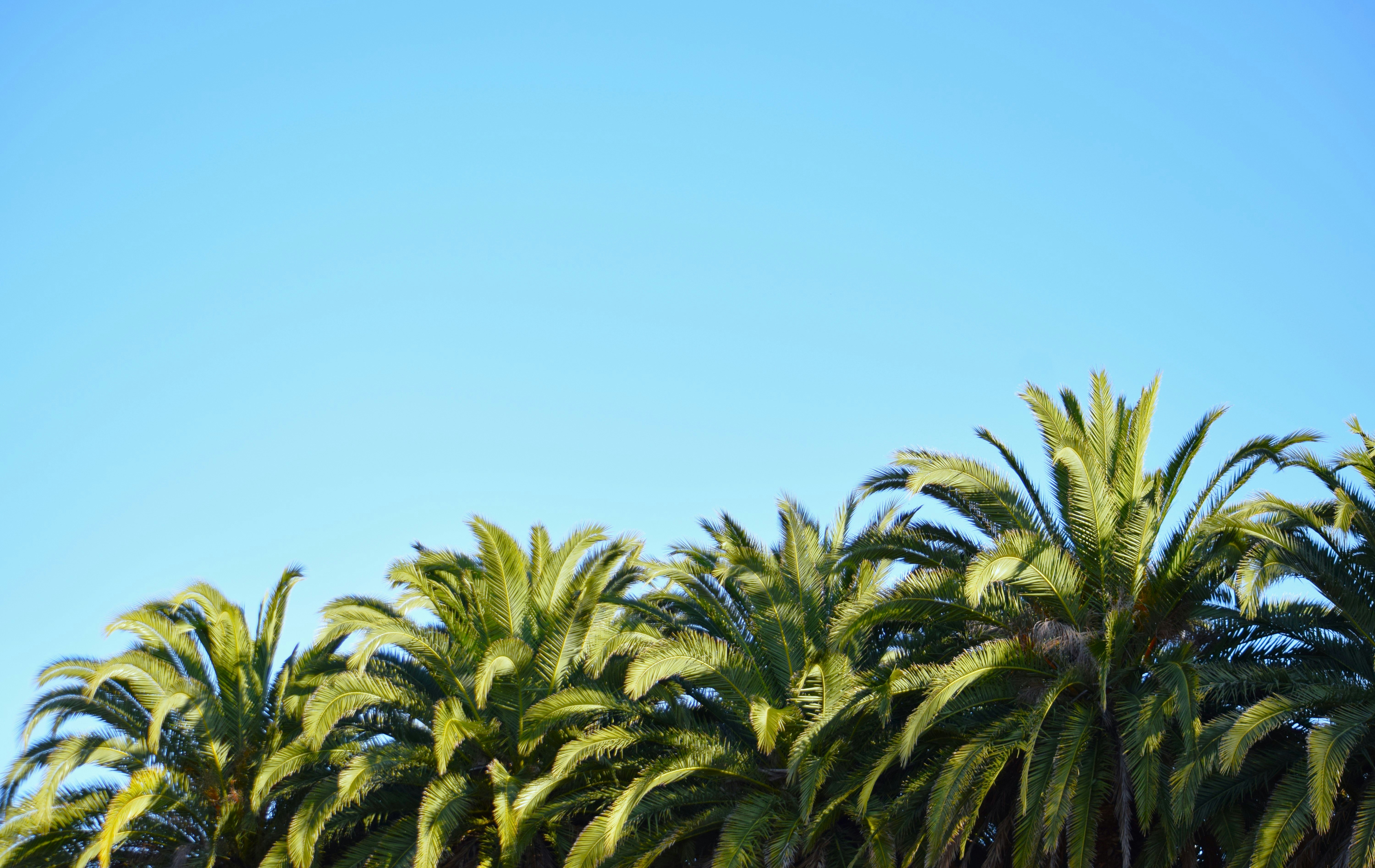 Photo by ch_photography