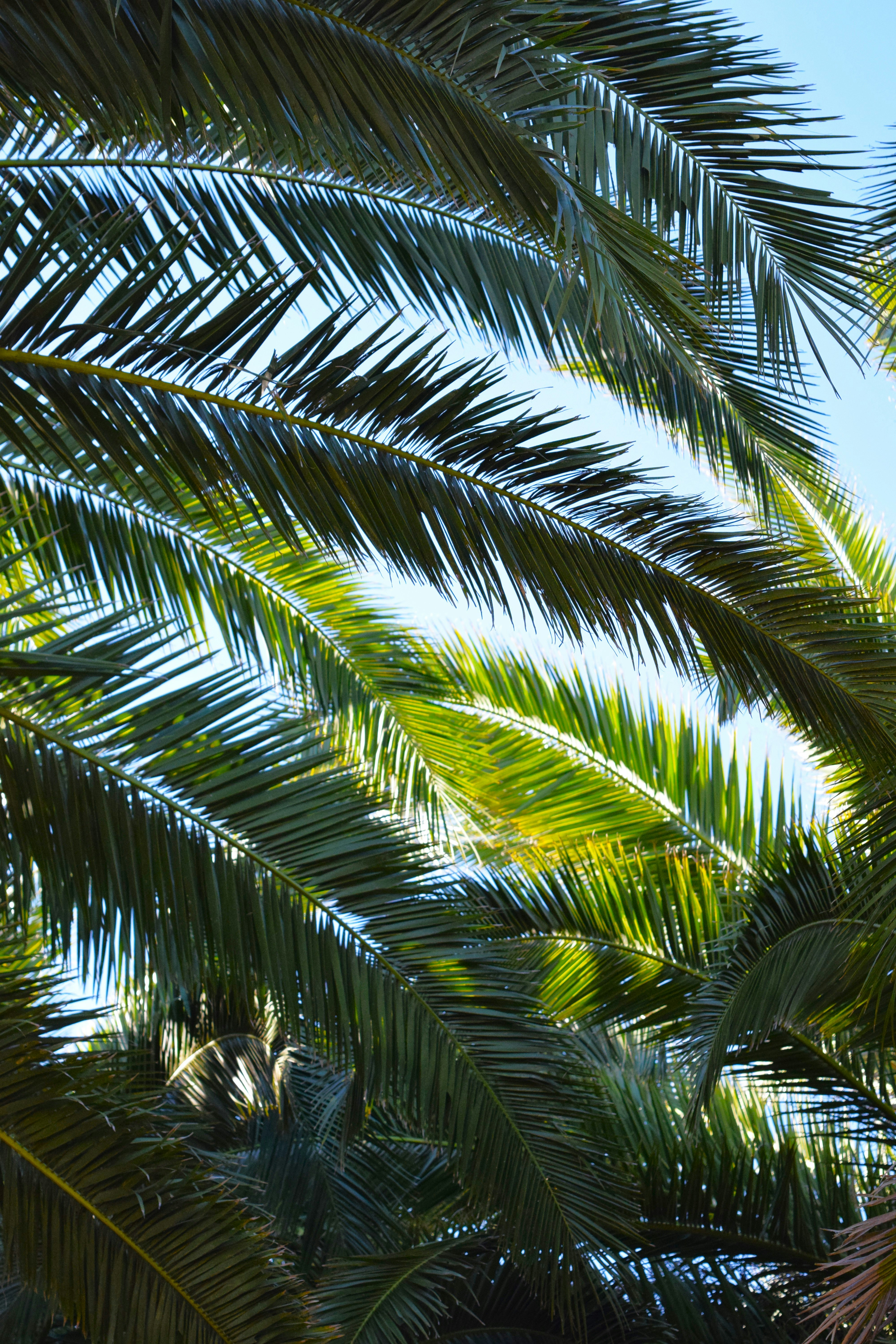 Photo by ch_photography