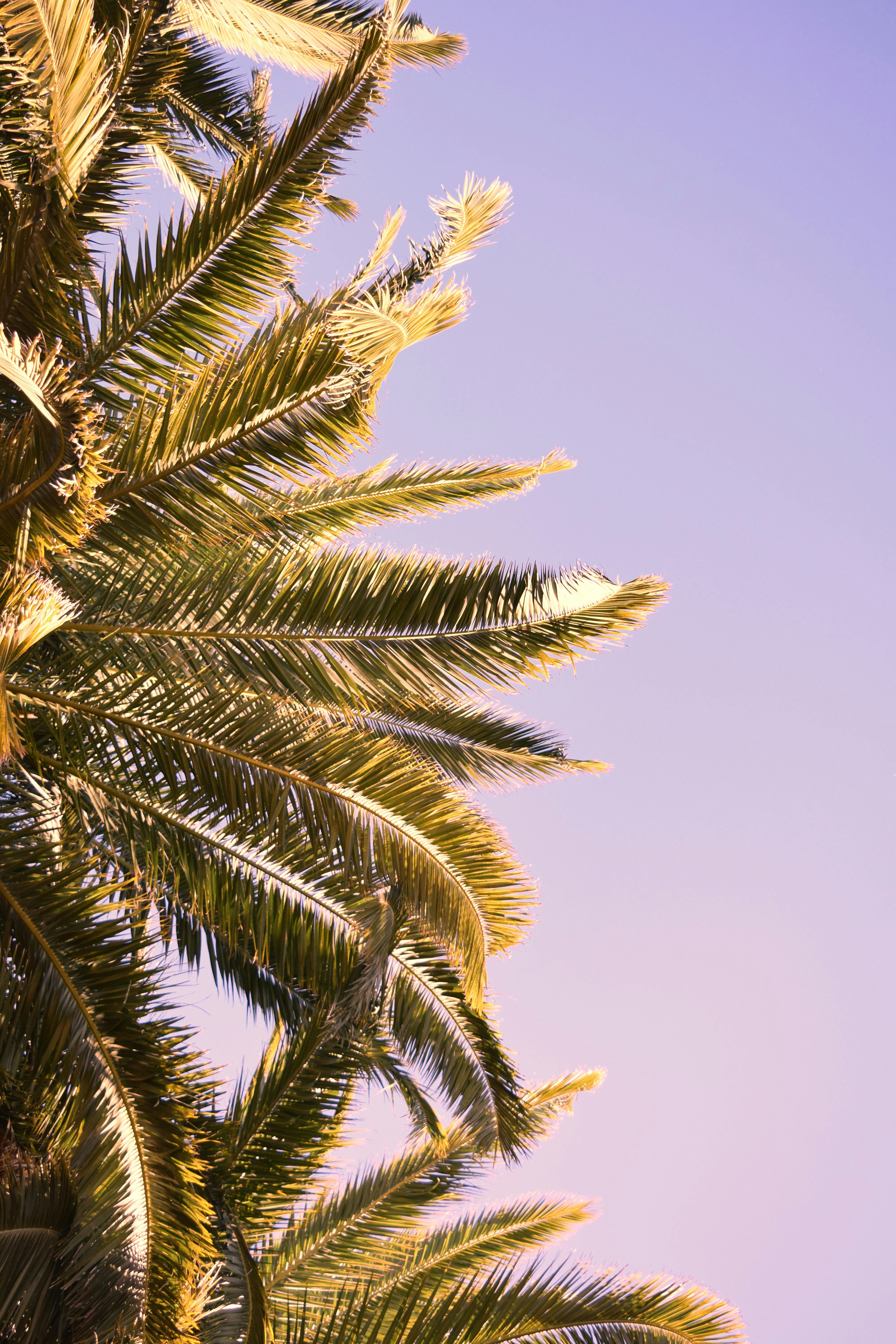 Photo by ch_photography