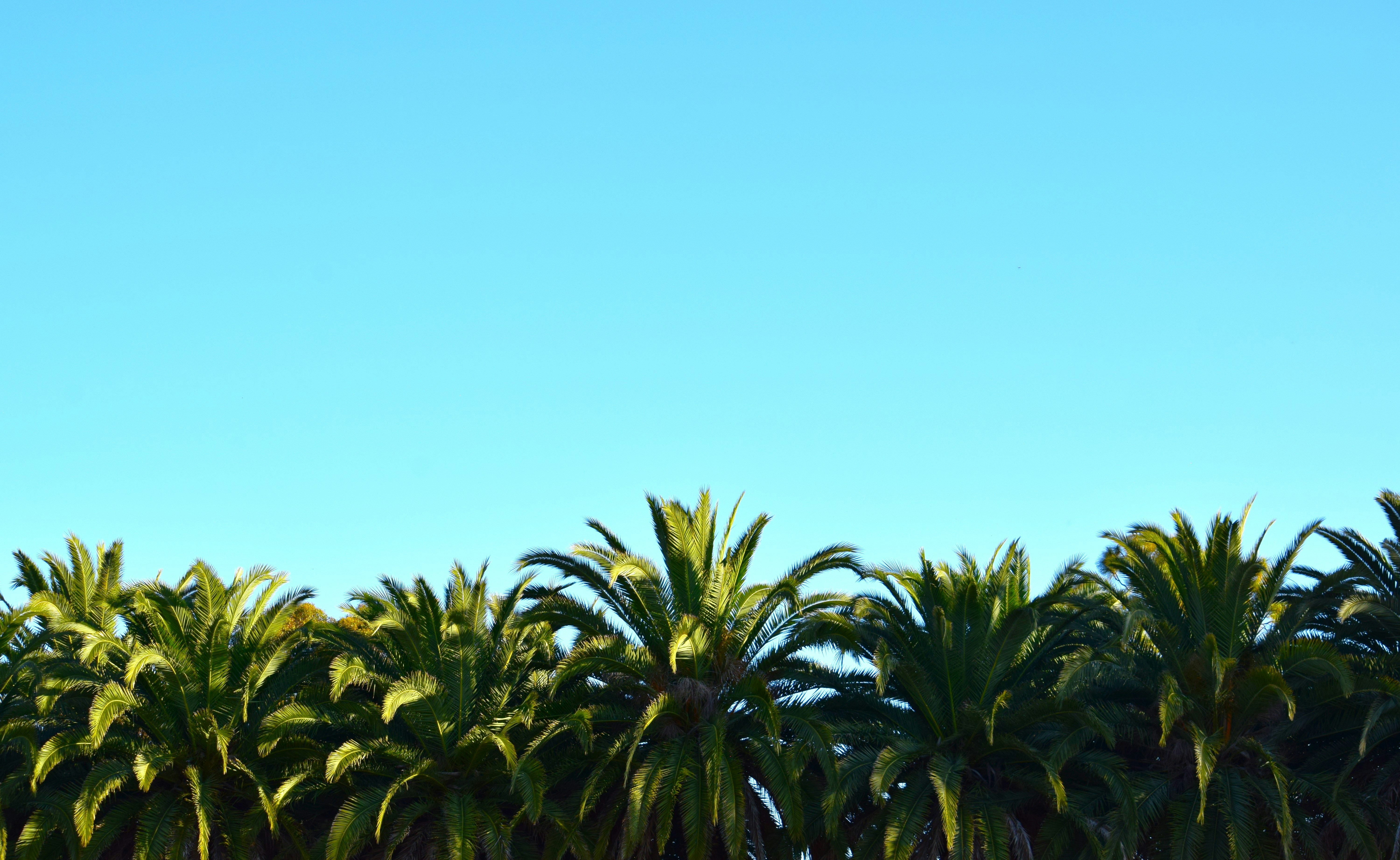 Photo by ch_photography