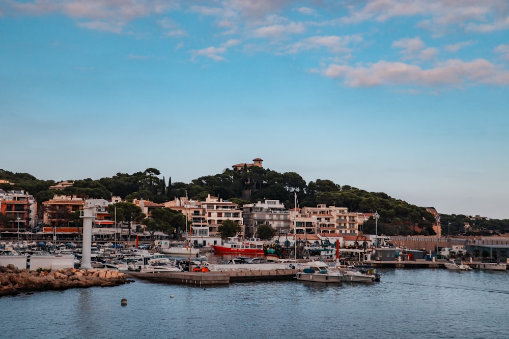 a body of water filled with lots of boats