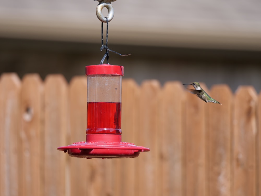 a hummingbird flying towards a red hummingbird feeder