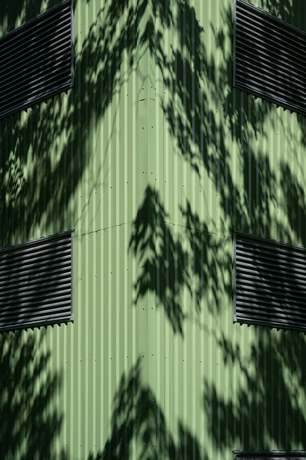 the shadow of a tree on a green wall