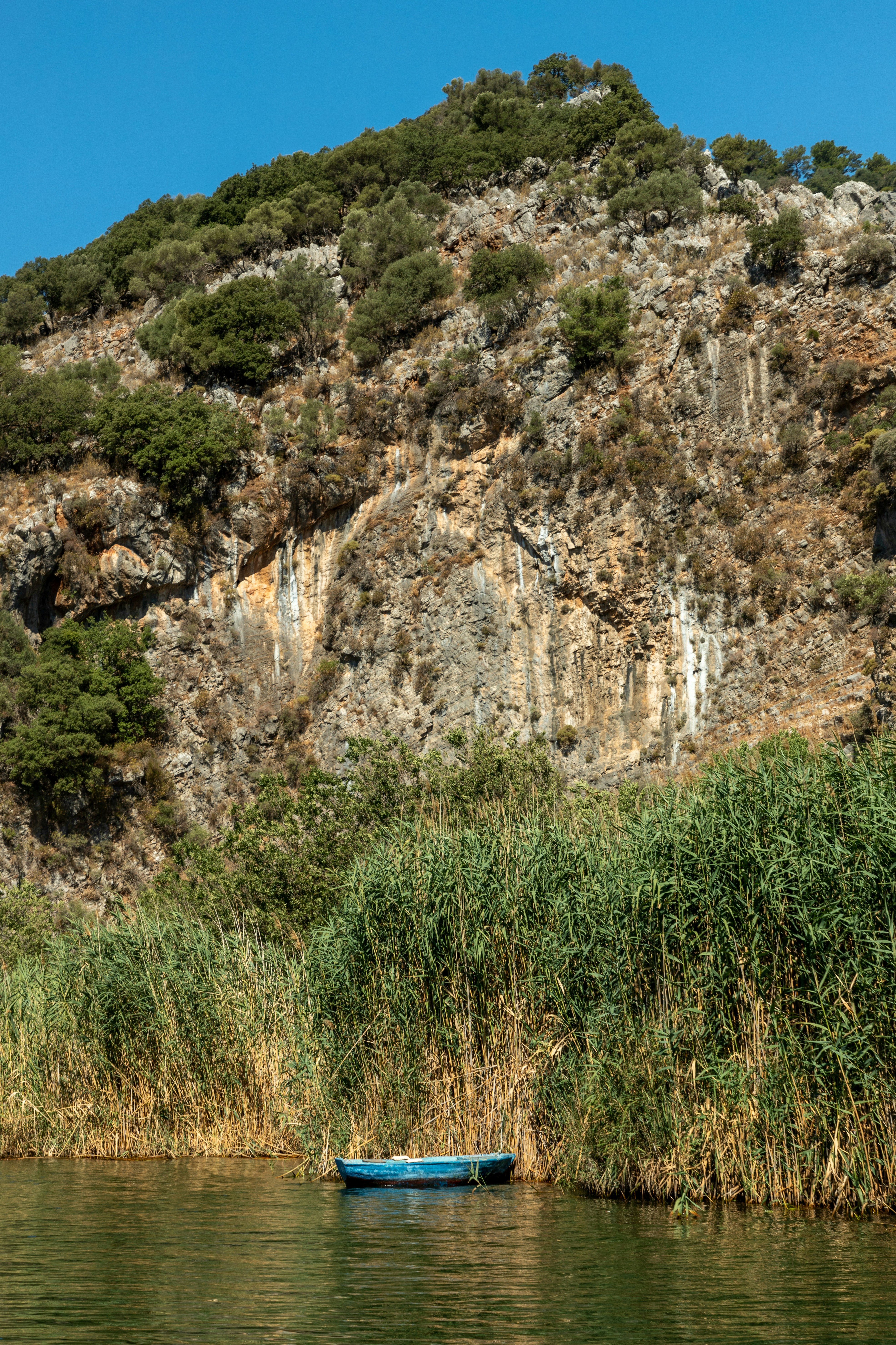 Photo by headofnarnia23