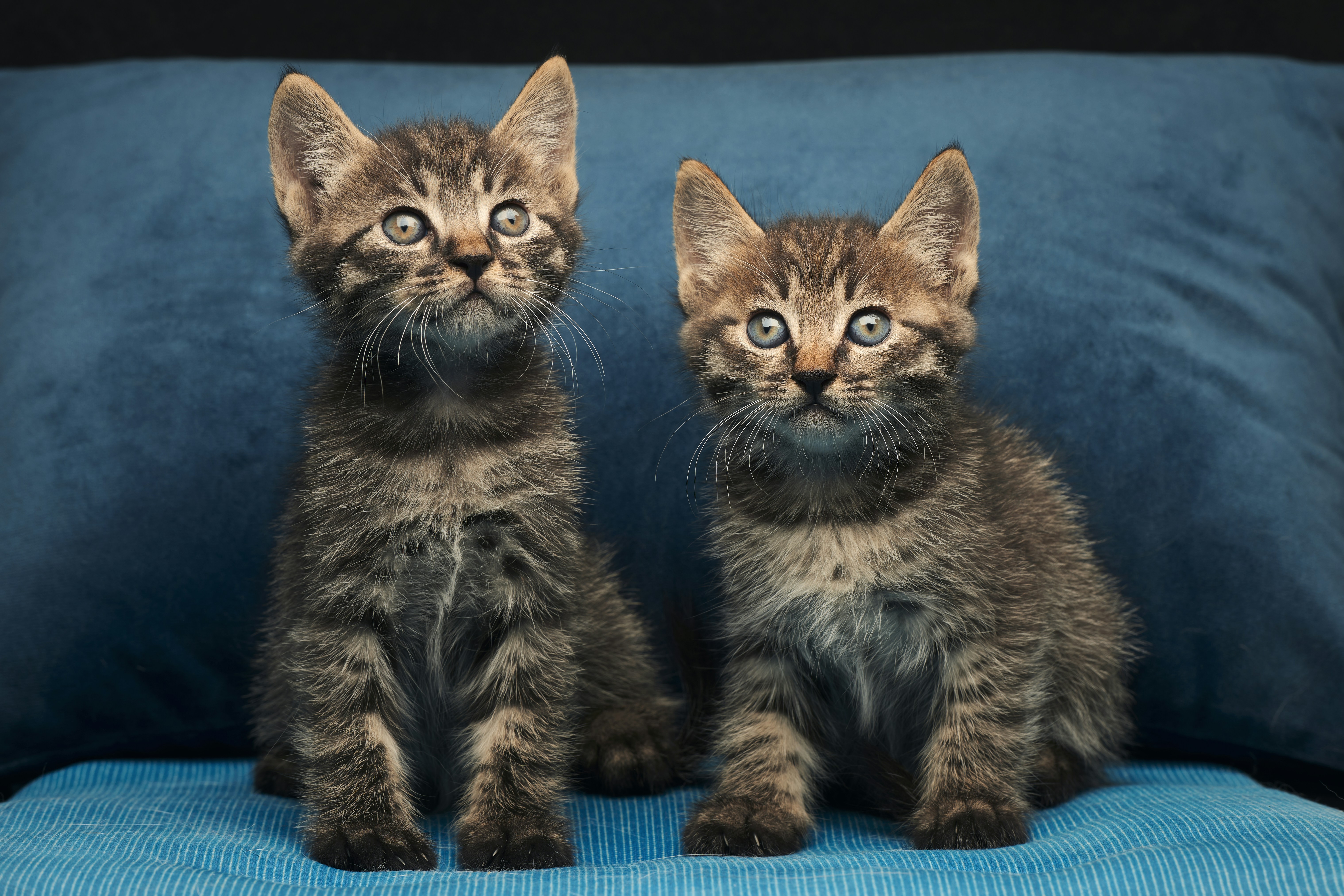 Photo by dodowang1994