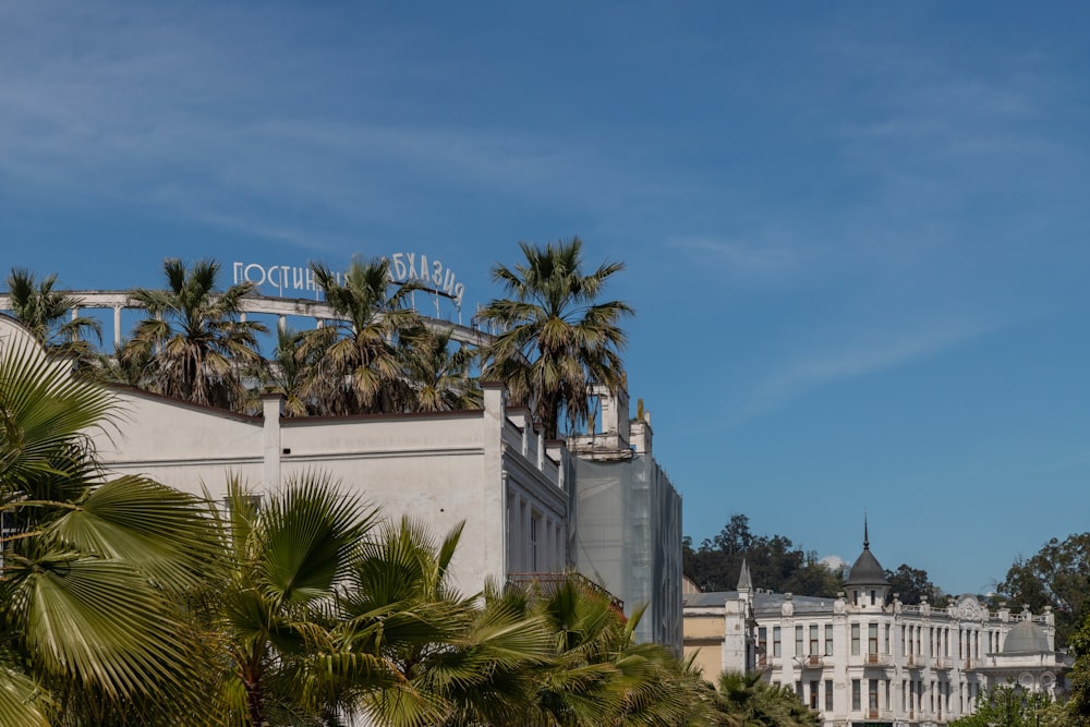 a building with palm trees in front of it