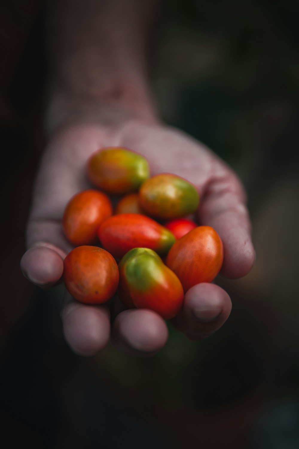 a person holding a handful of tomatoes in their hands