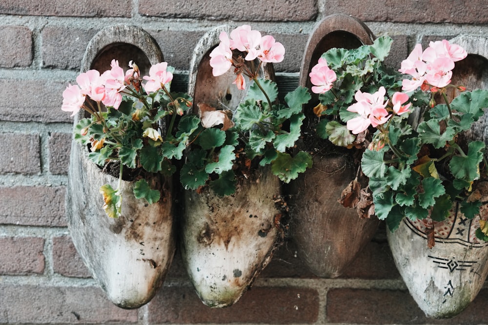 three old shoes with flowers in them are hanging on a brick wall