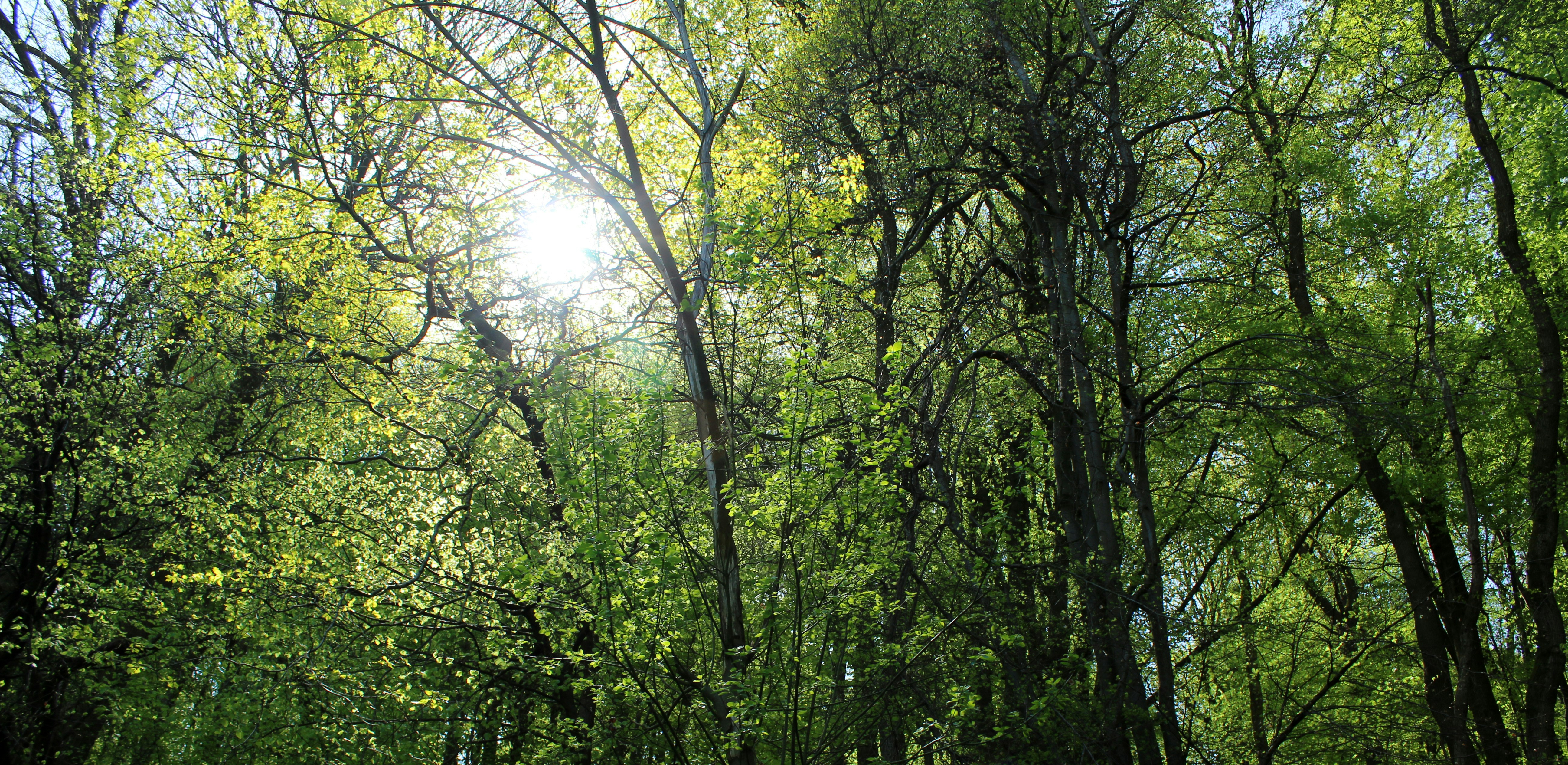 Photo by ben_everett