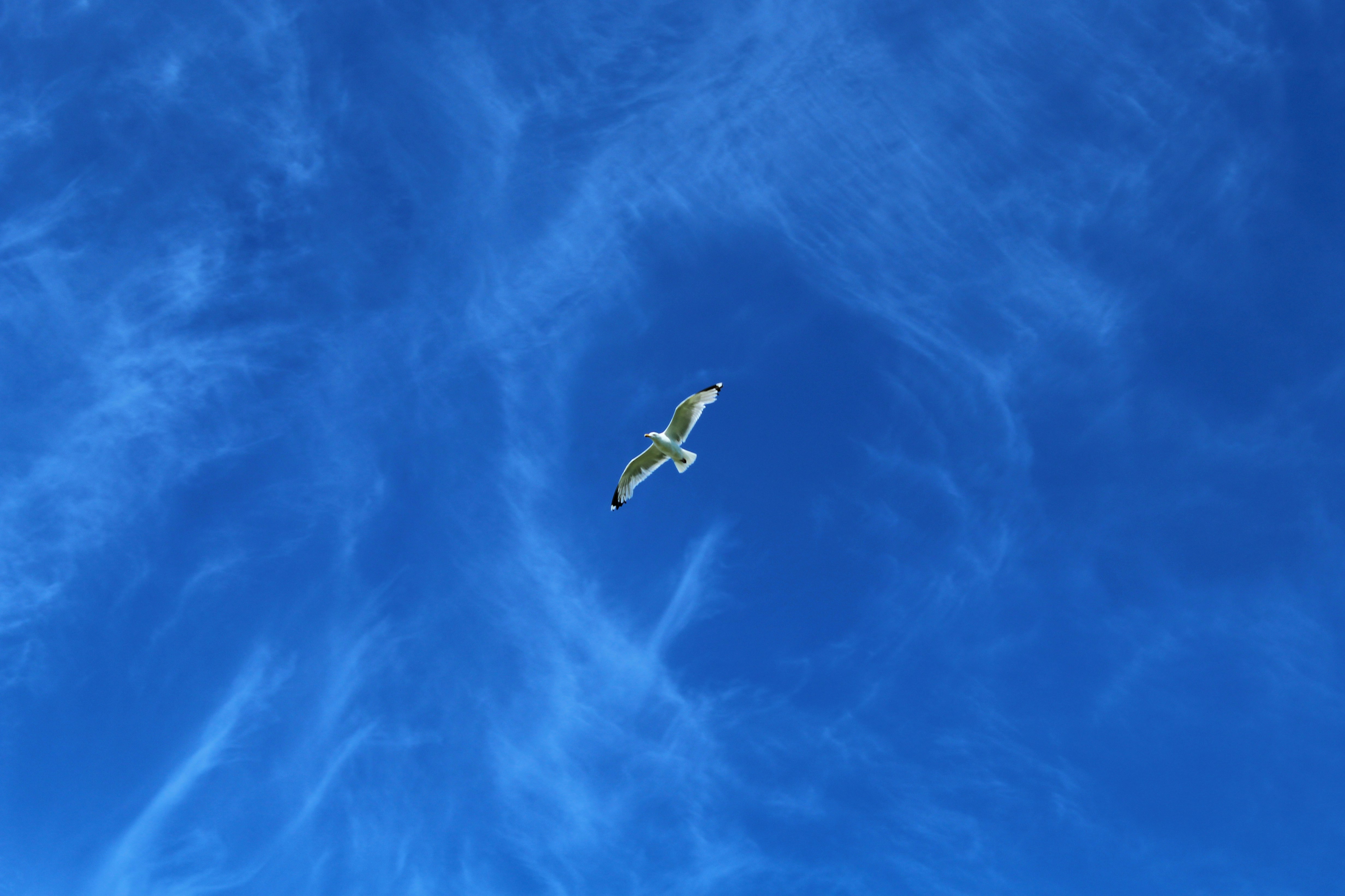 Photo by ben_everett