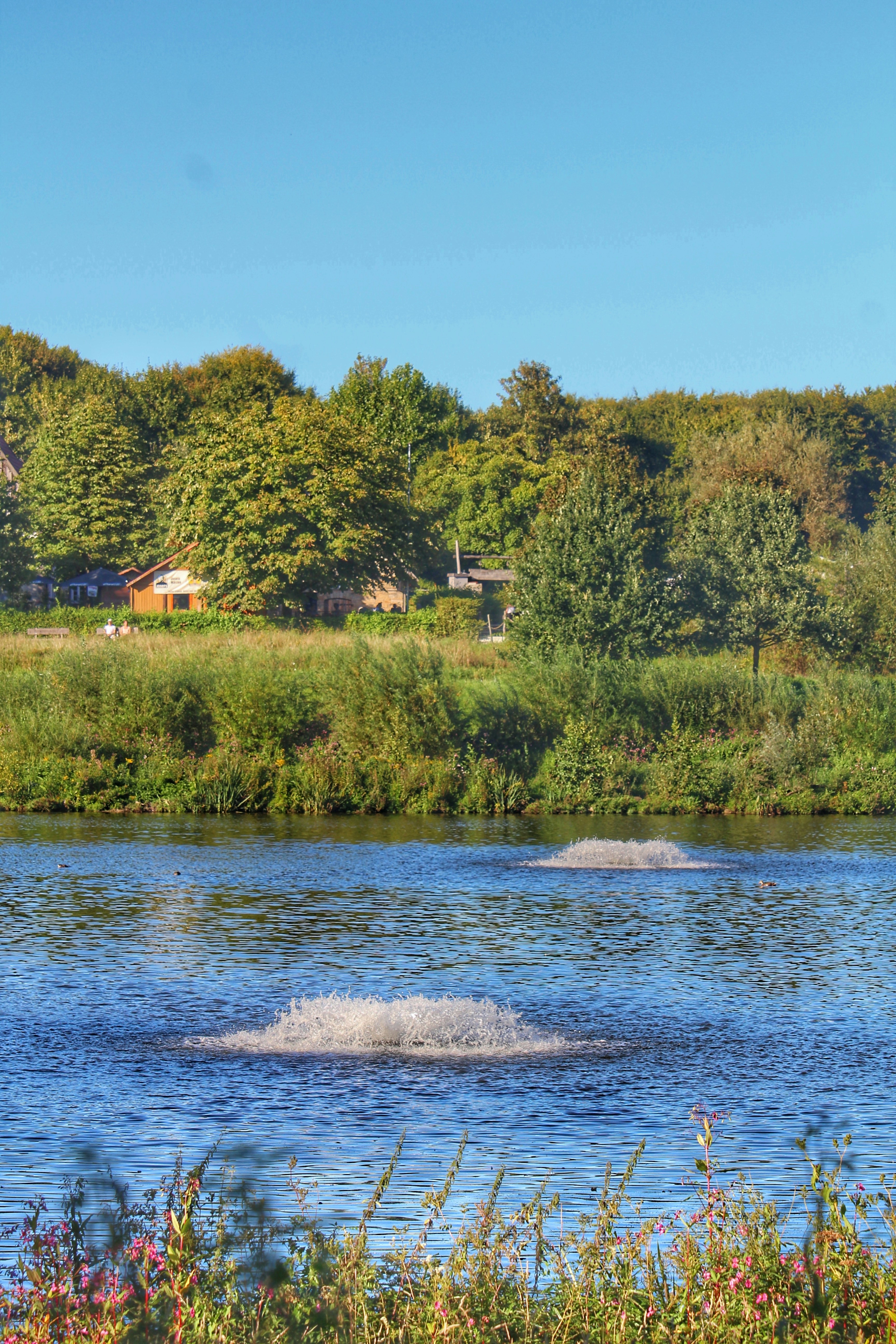 a body of water with trees in the background
