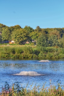 A serene artificial lake with clear water and visible aeration equipment.