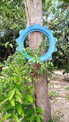 A blue tire placed vertically around the trunk of a tree, surrounded by lush green foliage. The setting appears to be outdoors in a forest or garden environment with scattered sunlight creating shadow patterns on the sandy ground.