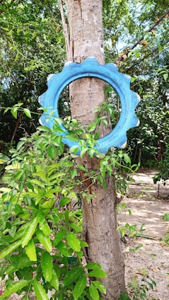 A blue tire placed vertically around the trunk of a tree, surrounded by lush green foliage. The setting appears to be outdoors in a forest or garden environment with scattered sunlight creating shadow patterns on the sandy ground.