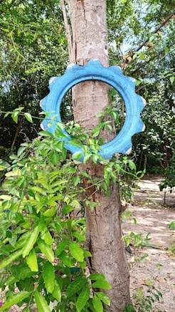 A blue tire placed vertically around the trunk of a tree, surrounded by lush green foliage. The setting appears to be outdoors in a forest or garden environment with scattered sunlight creating shadow patterns on the sandy ground.