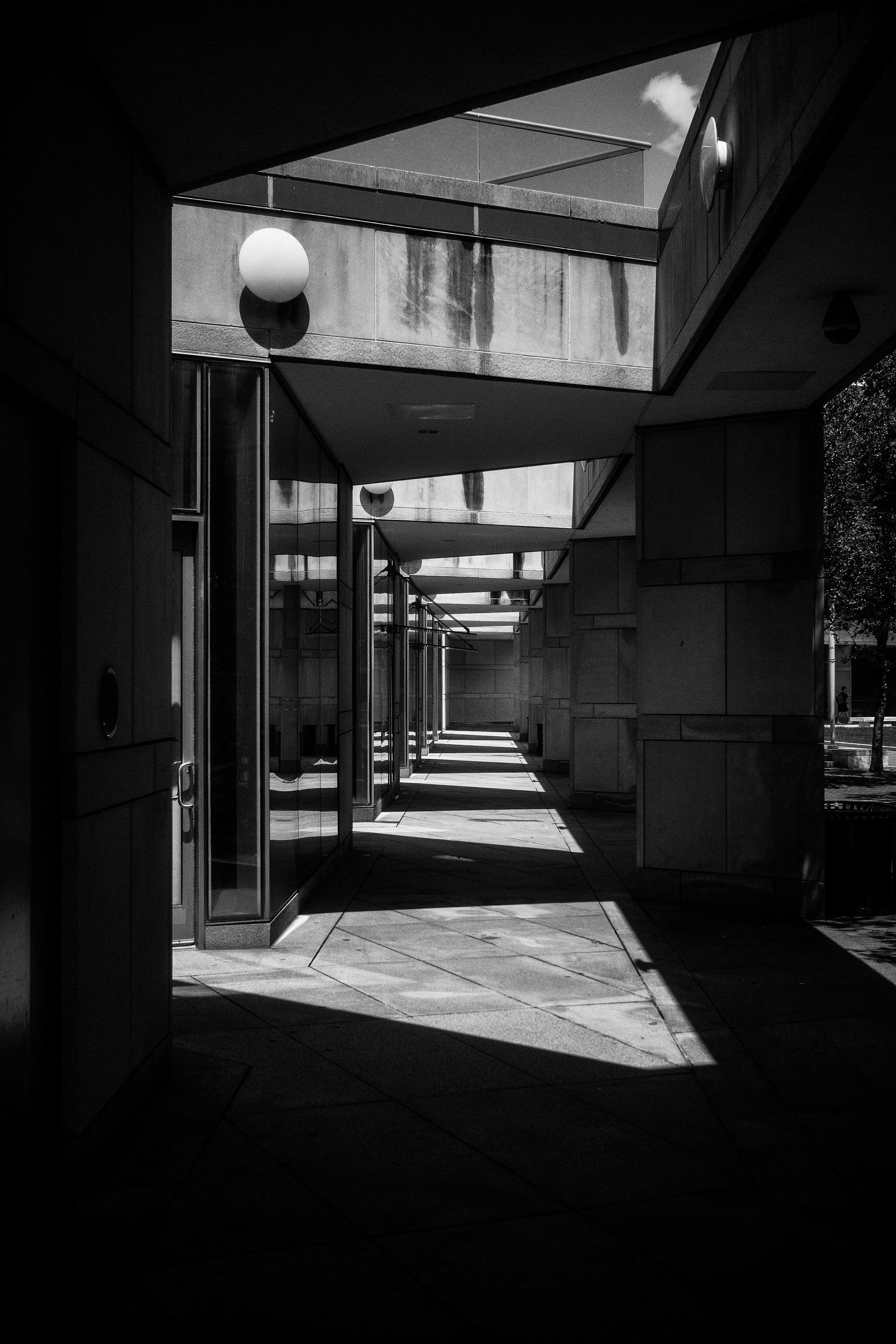 Photo by david_moorhouse