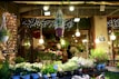 A vibrant flower shop is filled with diverse plant arrangements and hanging lights. Potted plants and flowers in shades of white, pink, and green are beautifully displayed on tables. Illuminated signs and fairy lights add to the cozy atmosphere, while large bulbs hang from the ceiling. The shop's open sign indicates it's ready for customers.
