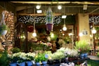 A vibrant flower shop is filled with diverse plant arrangements and hanging lights. Potted plants and flowers in shades of white, pink, and green are beautifully displayed on tables. Illuminated signs and fairy lights add to the cozy atmosphere, while large bulbs hang from the ceiling. The shop's open sign indicates it's ready for customers.