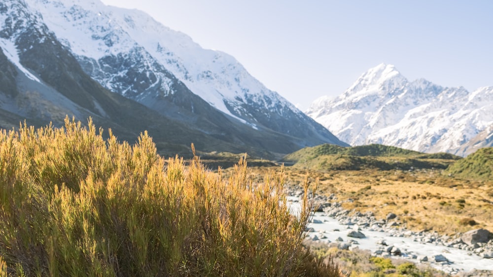 a mountain range with a stream running through it