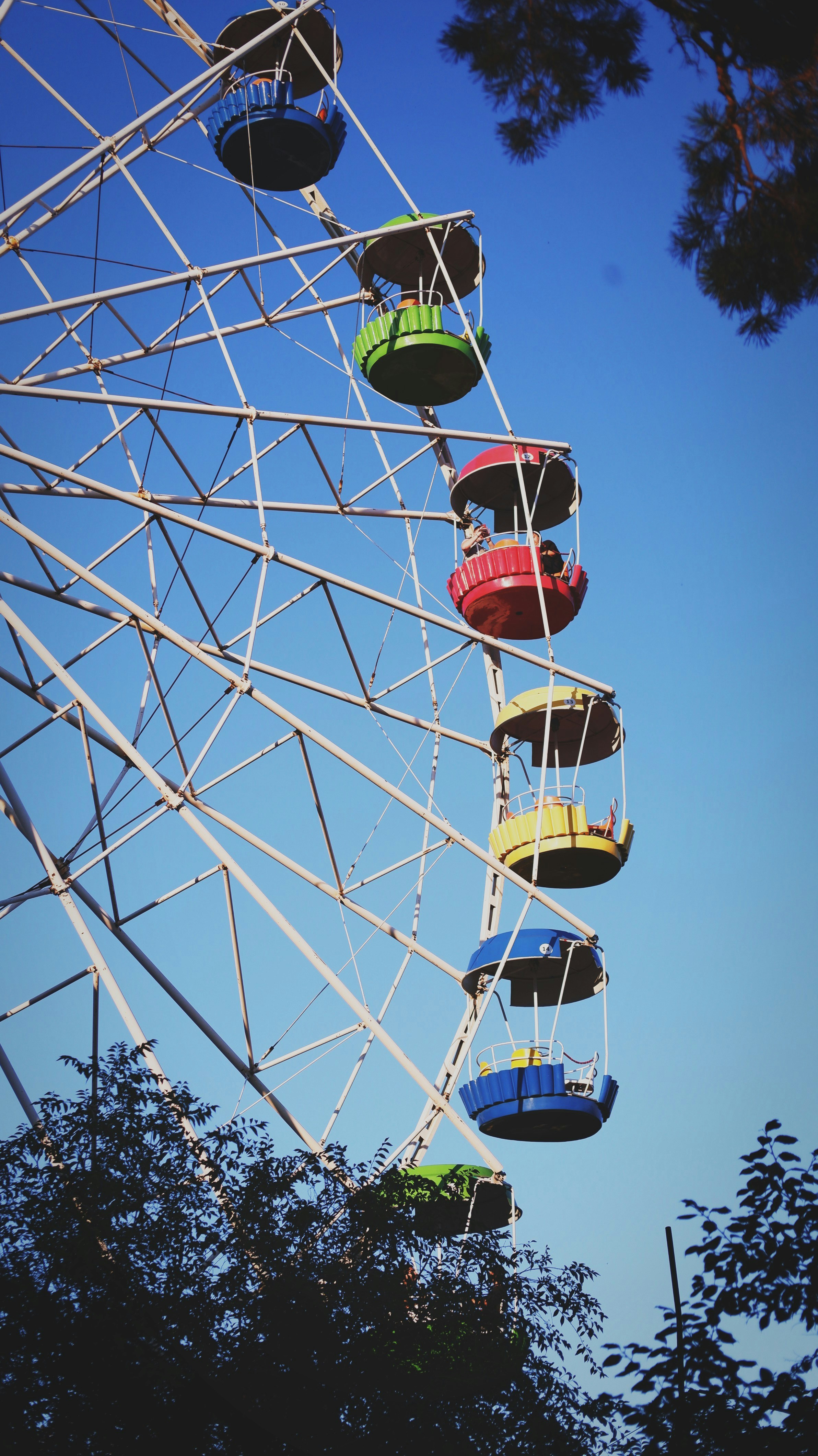 Photo by maestrophoto