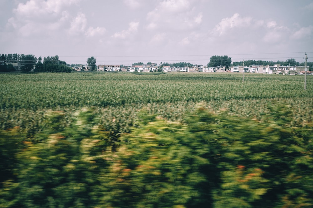 a view of a field from a moving train